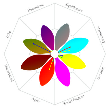 Culture Fit Burst displays a candidates preferred organizational culture